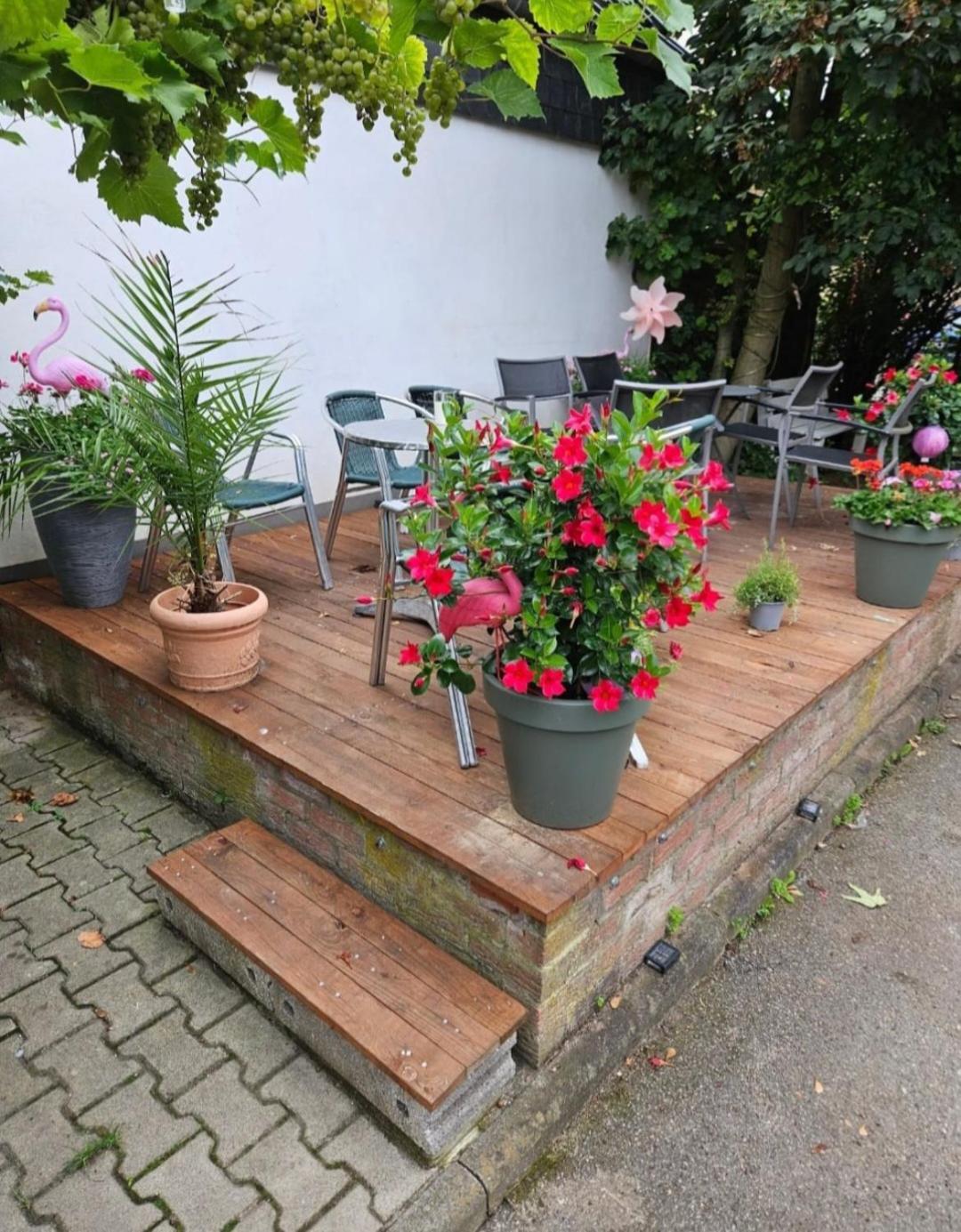 Pension Mediterrano Bedburg Buitenkant foto